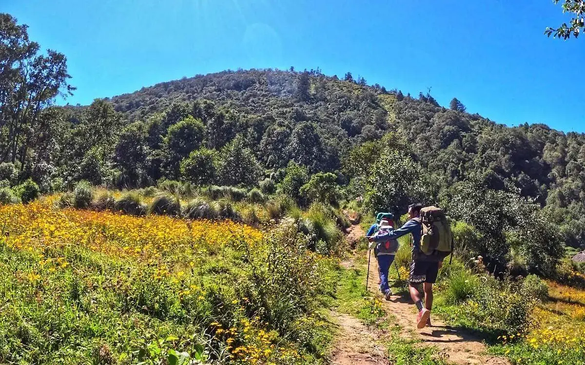 personas subiendo al volcán